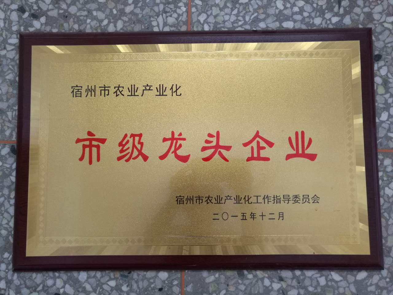 市级龙头企业